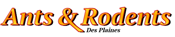 Des Plaines Ant Exterminator & Rodent Control Company Logo